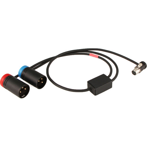 Cable Techniques Low-Profile TA5F to Dual XLR 3-Pin Male Y-Cable (24")