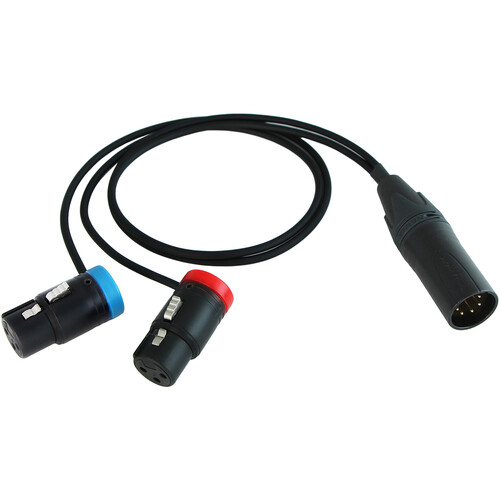 Cable Techniques 18"2 -Lo-Profile XLR 3 Female to Straight XLR 5M Y Cable(2-AX3F - NC5MXX-B)CH1-Blue/CH2-Red
