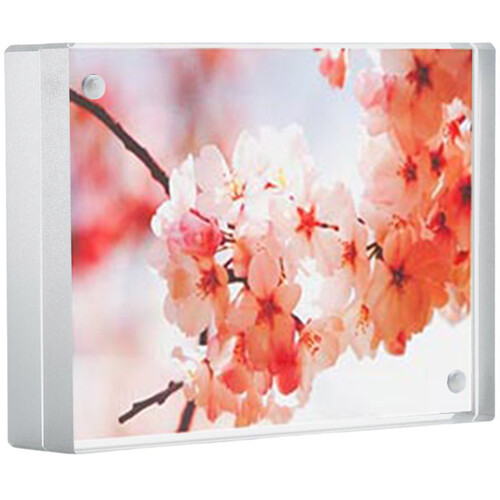 Canetti Design Group Color Edge Magnet Frame (Silver, 3.5 x 5")