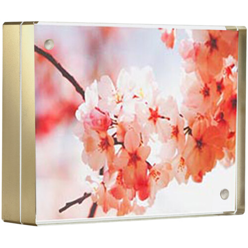 Canetti Design Group Color Edge Magnet Frame (Gold, 4 x 6")