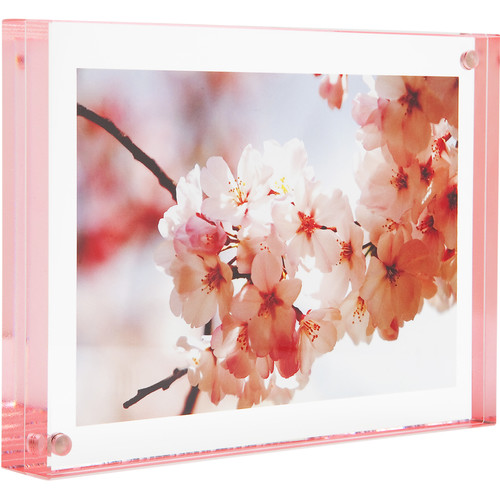 Canetti Design Group Color Edge Magnet Frame (Rose, 3.5 x 5")