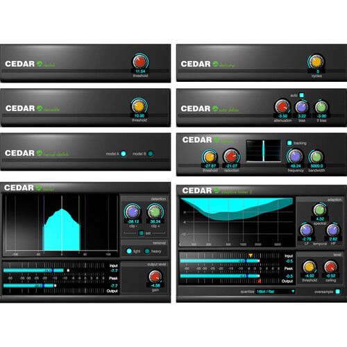 CEDAR Audio Cedar Studio 9 Restore Plug-In Suite