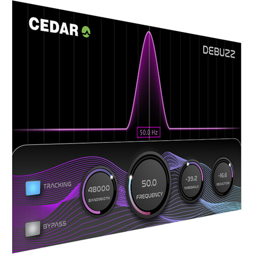 CEDAR Audio Debuzz 3 Audio Plug-In