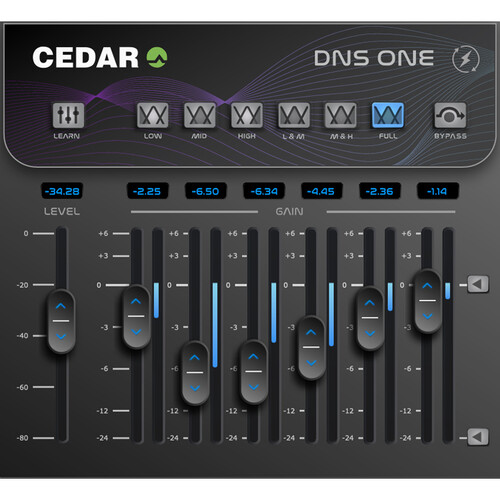 CEDAR Audio DNS One Dialogue Clean-Up Plug-In