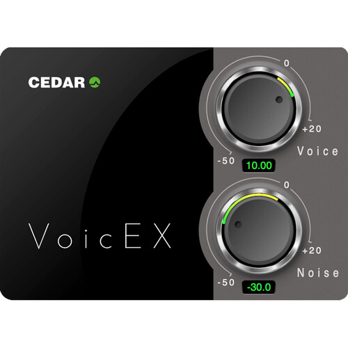 CEDAR Audio VoicEX Voice Extractor Audio Plug-In