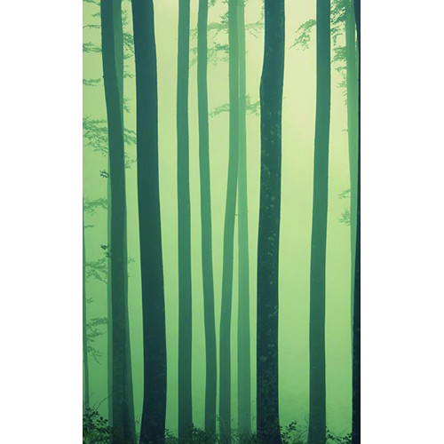 Click Props Backdrops Foggy Forest Backdrop (5 x 8')