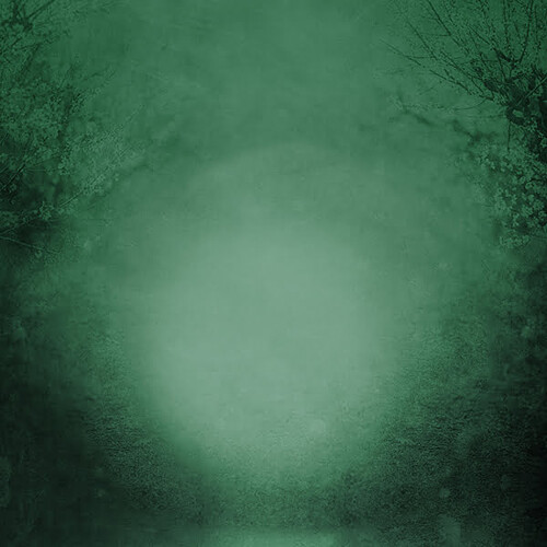 Click Props Backdrops Gary Hill Signature Collection ProFabric Backdrop (Forest Master Green, 8.9 x 8.9')