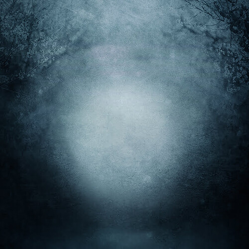 Click Props Backdrops Gary Hill Signature Collection ProFabric Backdrop (Midnight Forest, 8.9 x 8.9')