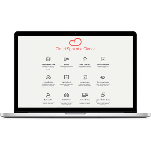 Cloud Spot Pro Cloud Storage 12-Month Subscription Plan (Download, 1TB of Storage)