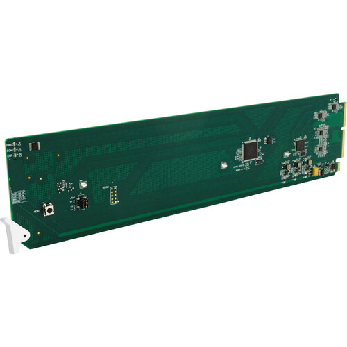 Cobalt Audio Word Clock openGear Distribution Amplifier