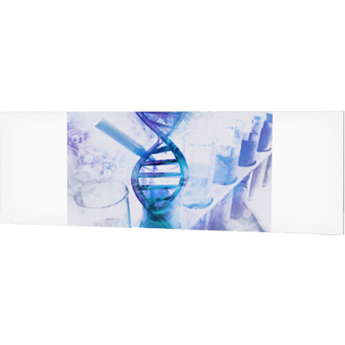 Da-Lite IDEA Panoramic 16:9 HDTV Format Screen with Full Length Marker Tray (53 x 144")