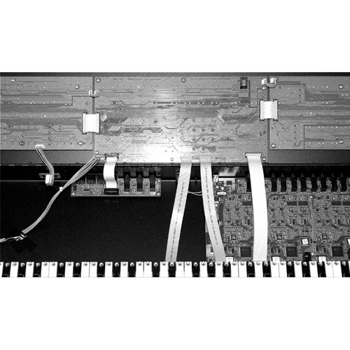 Sequential Poly Evolver Keyboard PE Conversion Kit (DSI-8014)