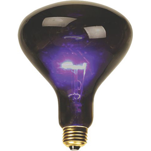 DeeJay LED B100 Mushroom-Shaped Purple Incandescent Bulb (100W)