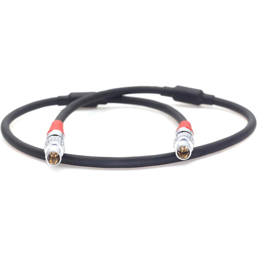DigitalFoto Solution Limited LBUS 4-Pin to 4-Pin Motor Cable for ARRI WCU-4 (11.8")