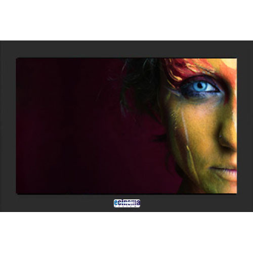 eCinema Systems FX40-2 Color Grading Monitor