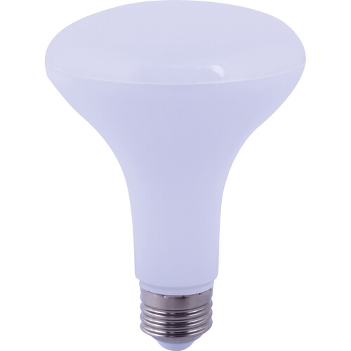 EiKO BR30 8W LED Lamp (2700K)
