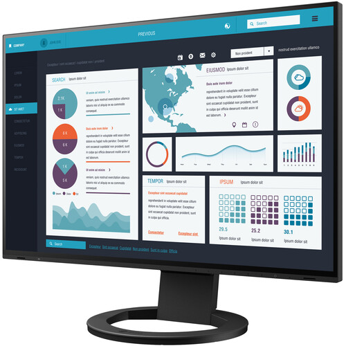 EIZO FlexScan EV2495FX-BK 24.1" 16:10 Docking IPS Monitor with FlexStand (Black)