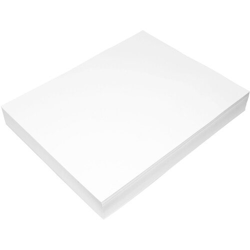 Epson SureLab Luster Photo Paper (5 x 7", 800 Sheets)