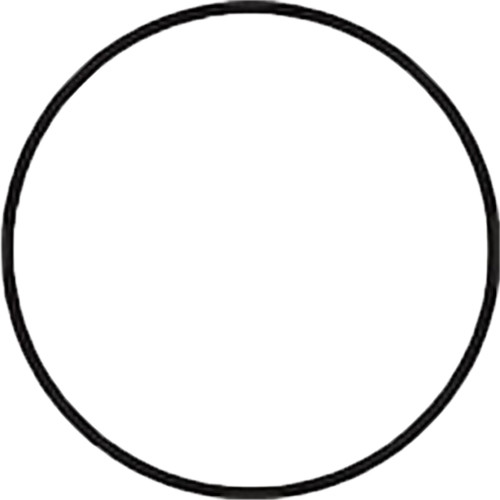 Fantasea Line Main O-Ring for FRX and FG9X Underwater Housings (Black)