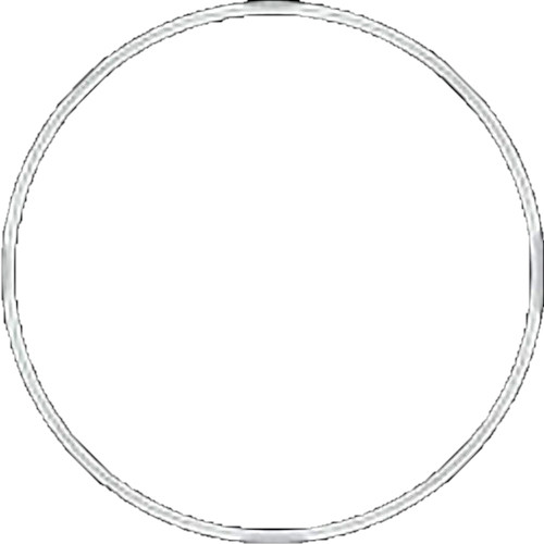 Fantasea Line Main O-Ring for FRX and FG9X Underwater Housings (White)