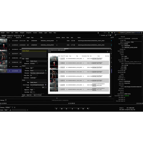 FilmLight Daylight (Download)