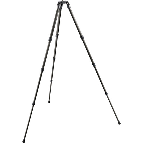 Gitzo GT2542LS Systematic Series 2 Carbon Fiber Tripod (Long)