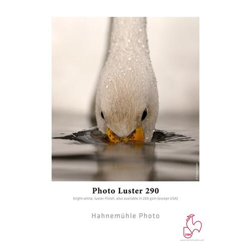 Hahnemuhle Photo Luster 290 Inkjet Roll Paper (24" x 100')
