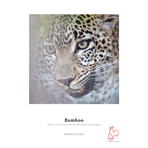 Hahnemuhle Bamboo Fine Art Paper (60" x 39' Roll)