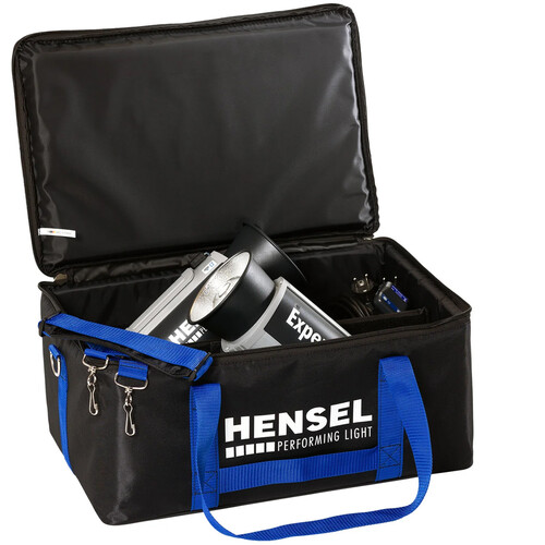 Hensel Expert D 500 Monolight (2-Light Kit)
