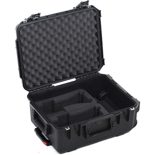 HIVE LIGHTING Hard Rolling Flight Case for Two C-Series Lights (Black)