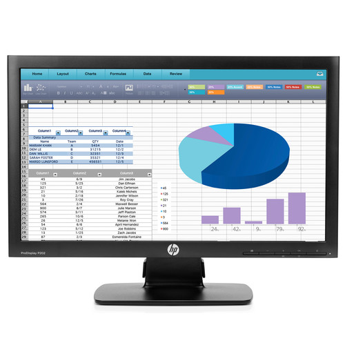 HP P202 20" Widescreen LED Backlit ProDisplay Monitor (Smart Buy)