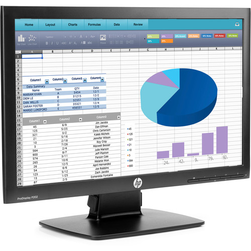 HP P202 20" Widescreen LED Backlit ProDisplay Monitor