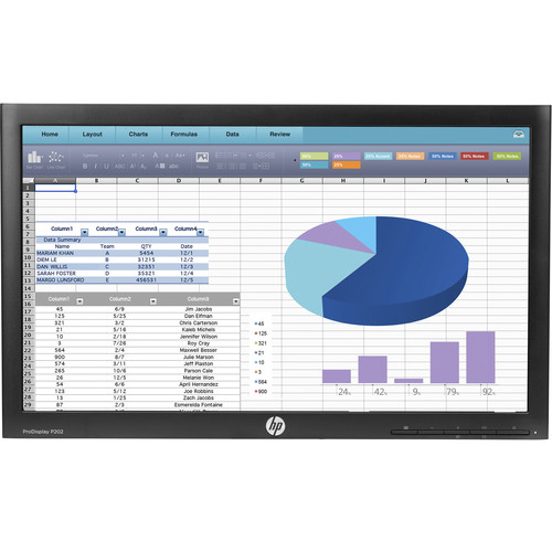 HP ProDisplay P202 20" 16:9 IPS Monitor (Head Only)
