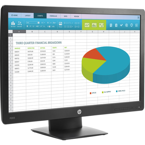 HP P203 20" 16:9 ProDisplay LCD Monitor