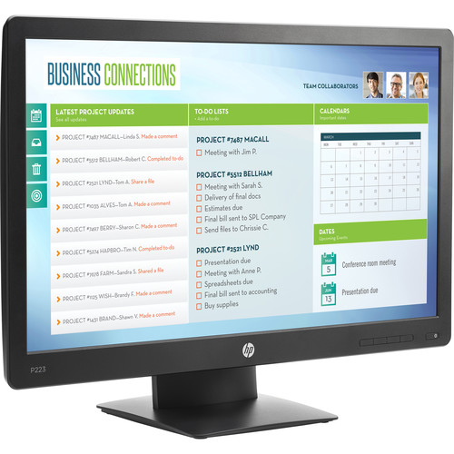 HP ProDisplay P223 21.5" 16:9 LCD Monitor