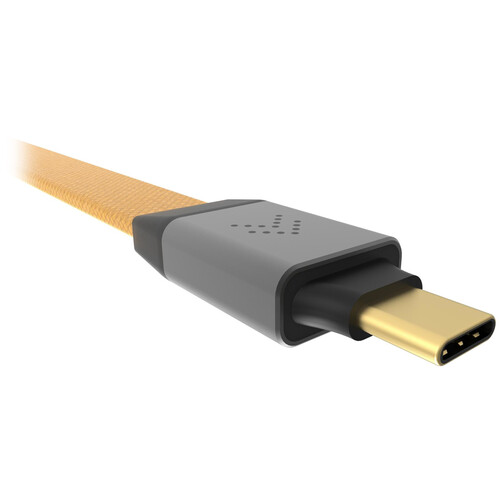 iFi audio Pulsar USB Galvanically Isolated USB-C Cable with ANC (3.3')