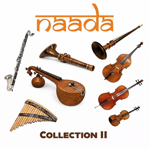 ILIO Naada Collection II Virtual Instrument Plug-Ins