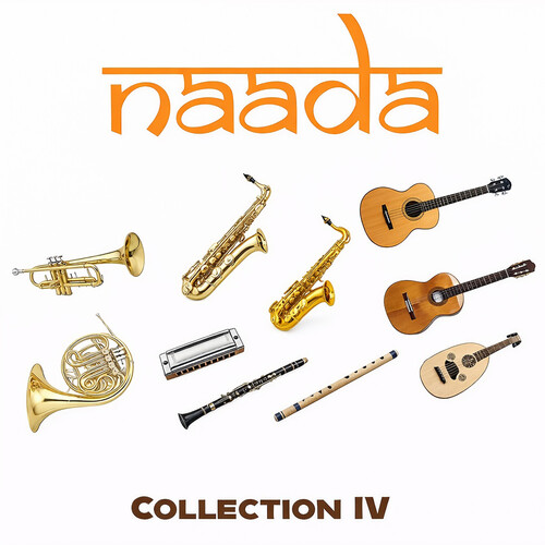 ILIO Naada Collection IV Virtual Instrument Plug-Ins