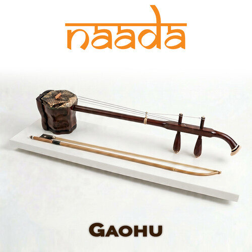 ILIO Naada Gaohu Virtual Instrument Plug-In