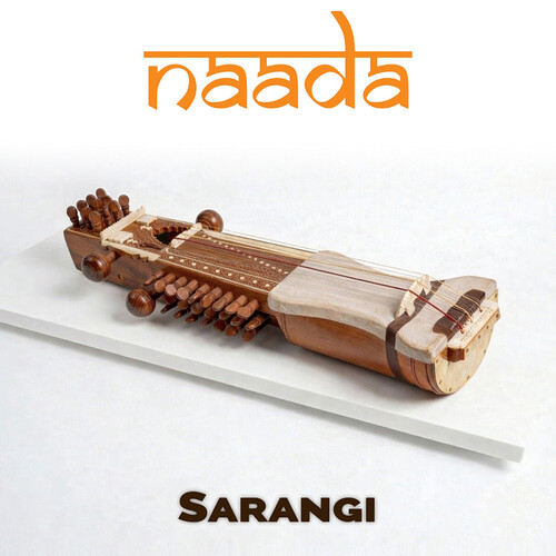 ILIO Naada Sarangi Virtual Instrument Plug-In