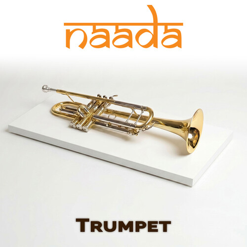 ILIO Naada Trumpet Virtual Instrument Plug-In