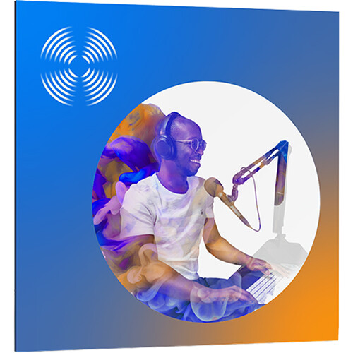 iZotope RX 8 Standard Audio Restoration and Enhancement Software (Educational Edition, Download)