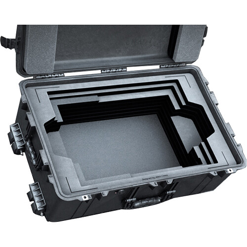 Jason Cases Hard Case with Foam Insert for Flanders DM241 Monitor