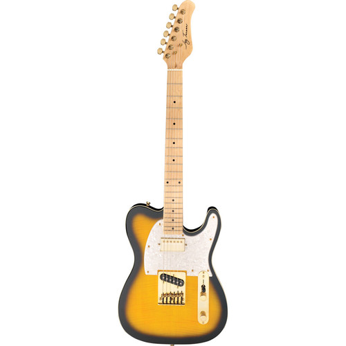 Jay Turser JT-LTCUSTOMDLX LT Series Electric JT-LTCUSTOMDLX-ANS