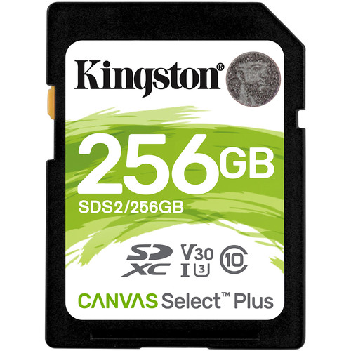 kingston_sds2_256gb_256gb_sdhc