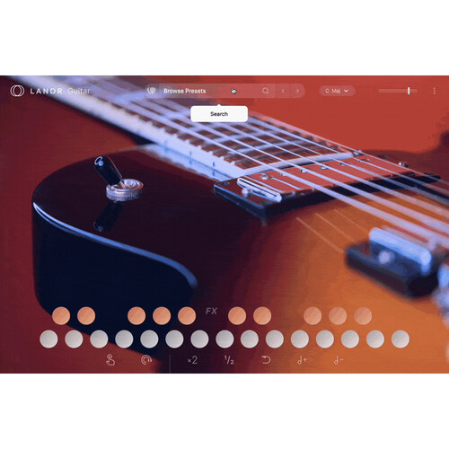 LANDR Electric Guitar Virtual Instrument Plug-In