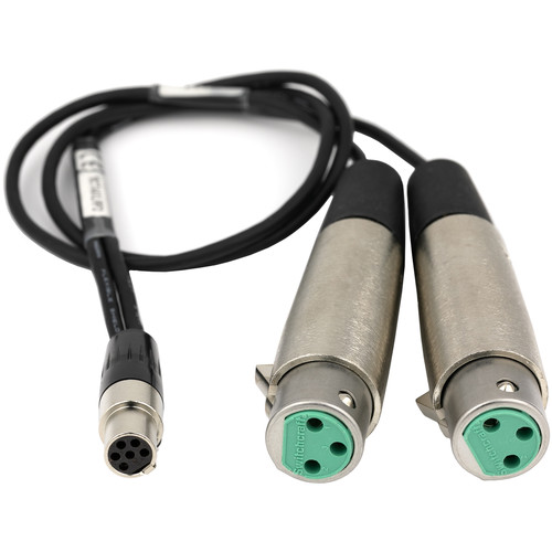 Lectrosonics Dual XLRF to TA6F Line-Level Cable for DCHT Transmitter (18")