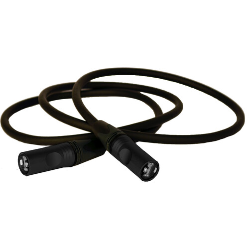 Lex Products Cat 6a EtherCON Tour Grade Extension Cable (Black, 5')