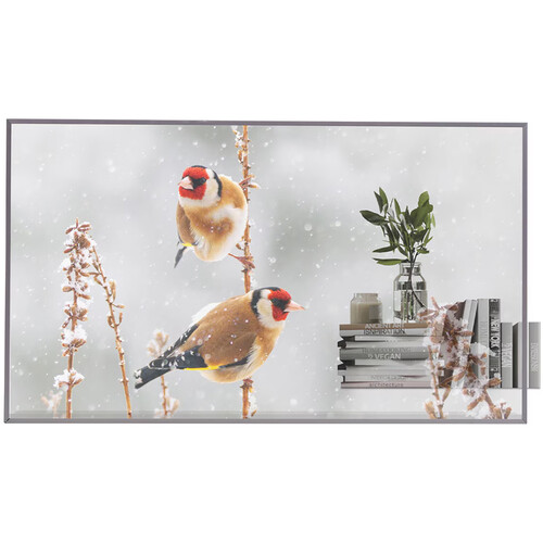LG 55EW5P-M 55" Full HD Transparent OLED Signage Display