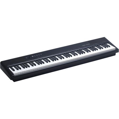Medeli Electronics SP-C121 Portable Digital Piano (Black)